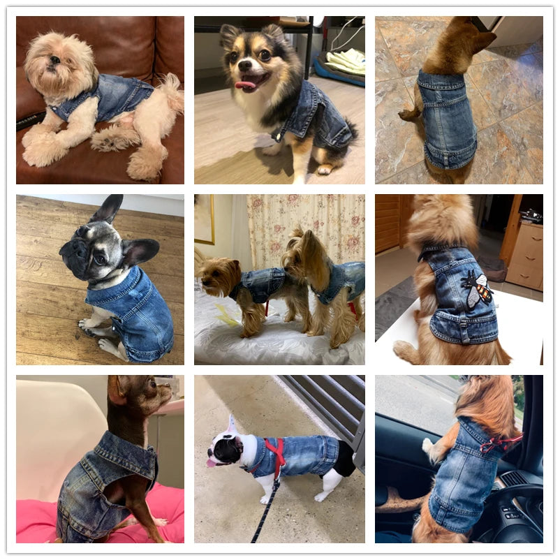 Stylish Cowboy Dog Jacket Spring Denim Dog Clothes Vest Puppy Clothing for Dogs Chihuahua Yorkies Casual Jeans Pet Coat Costumes
