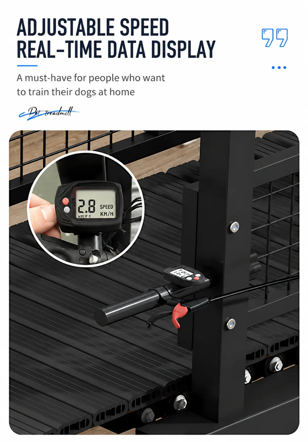 Heavy-duty Non-Motorized Quiet Dog Treadmill