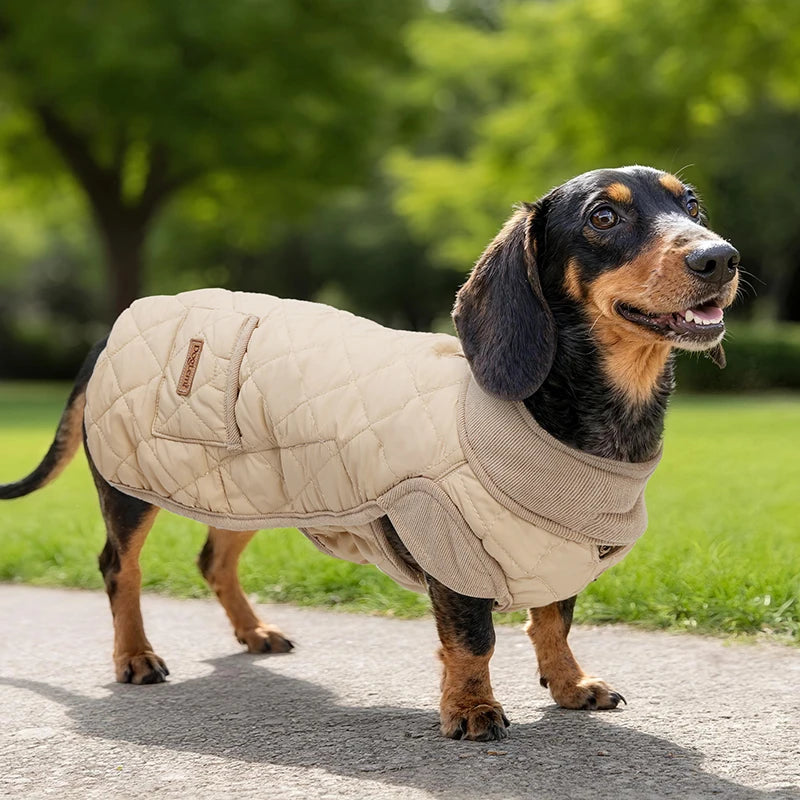 Winter Dog Coat for Dachshund Water Repellent Warm Dog Jacekt for Small Short-Leg Dogs Diamond Quilted Windproof Dog Clothing