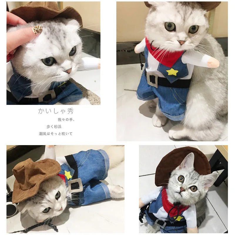Dachshund Cowboy Halloween Costume