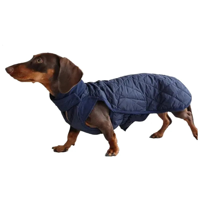 Dachshund Winter Warm Coat, Waterproof Windproof Dog Jacket with Elastic Chest & Legs, Tailored Fit for Sausage Dogs