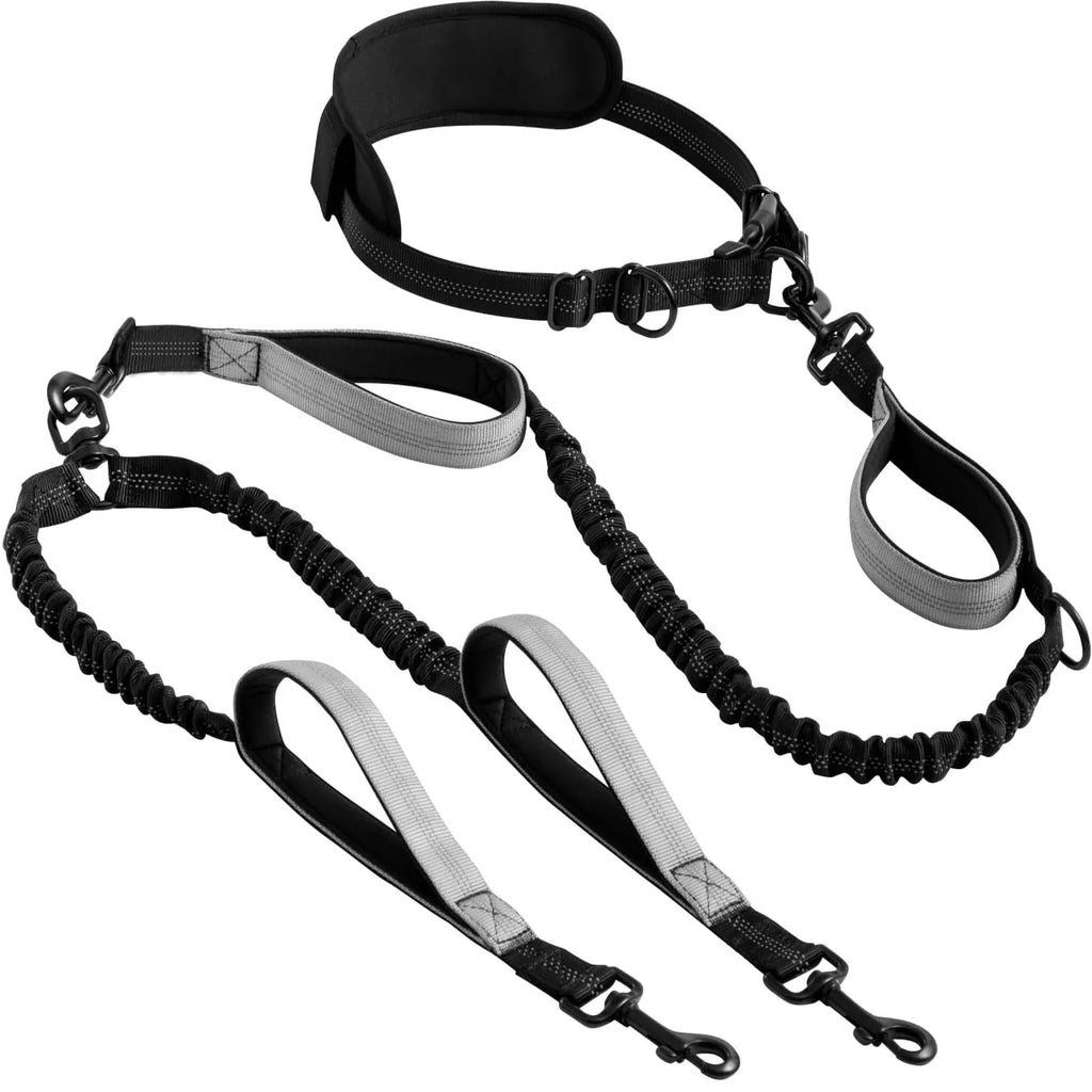 Hands-Free Double Dog Leash
