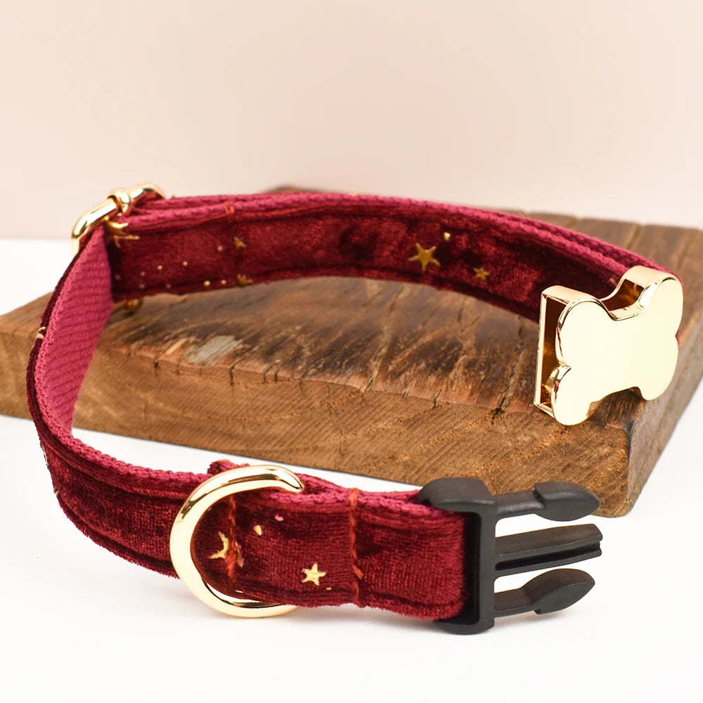 Custom Engraved Nameplate Dog Collar