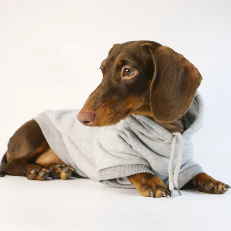 Cool Dog Sausage Hoodie for Small Dogs Warm Puppy Clothes Dachshund Pullover Mascotas Costume Clothing Ropa Cachorro