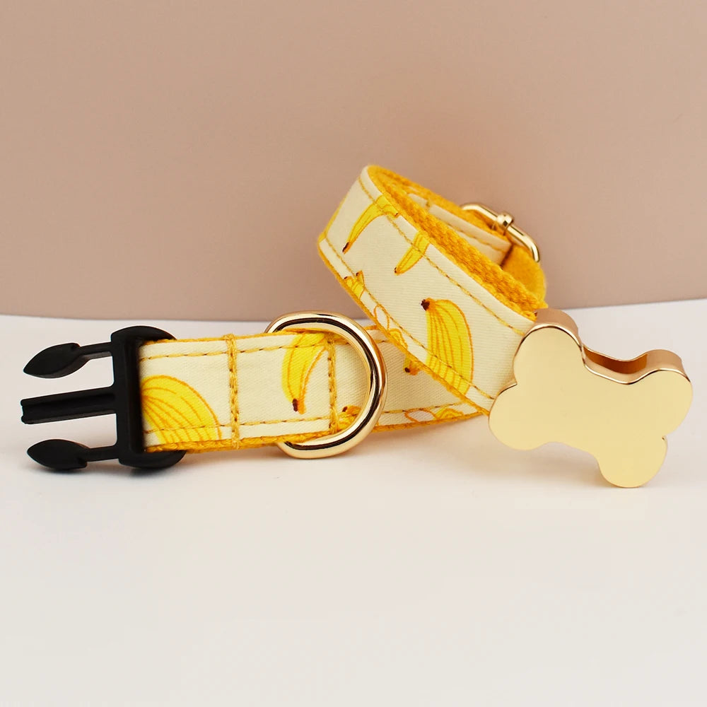 Custom Engraved Nameplate Dog Collar