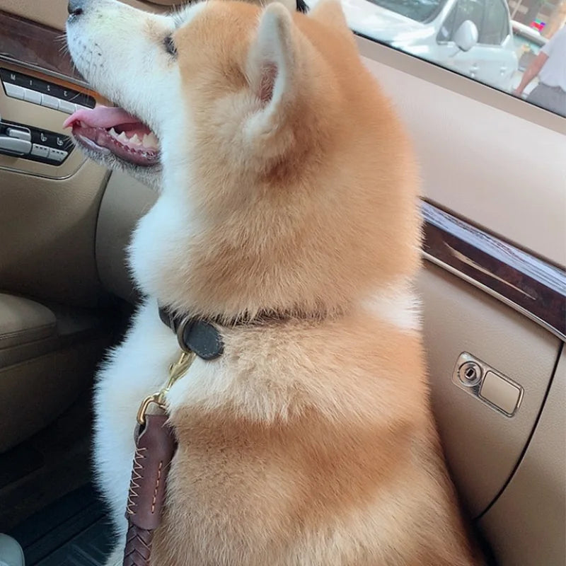 Braided Real Leather Dog Collar