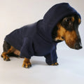Cool Dog Sausage Hoodie for Small Dogs Warm Puppy Clothes Dachshund Pullover Mascotas Costume Clothing Ropa Cachorro