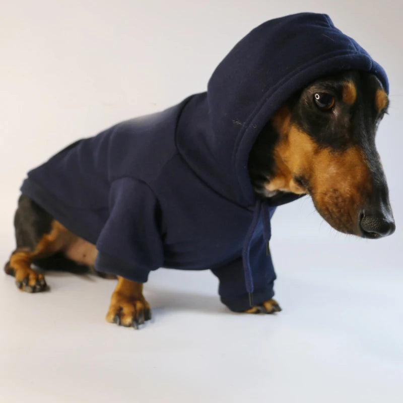 Cool Dog Sausage Hoodie for Small Dogs Warm Puppy Clothes Dachshund Pullover Mascotas Costume Clothing Ropa Cachorro