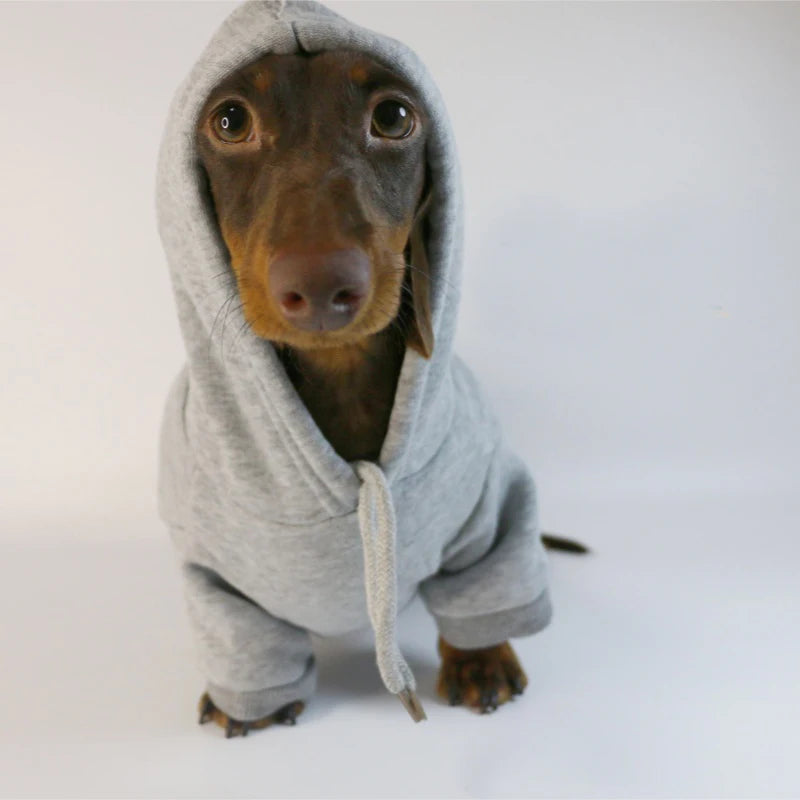 Cool Dog Sausage Hoodie for Small Dogs Warm Puppy Clothes Dachshund Pullover Mascotas Costume Clothing Ropa Cachorro