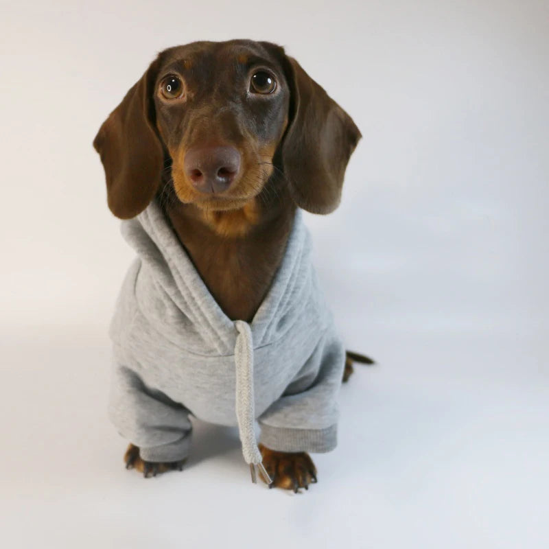 Cool Dog Sausage Hoodie for Small Dogs Warm Puppy Clothes Dachshund Pullover Mascotas Costume Clothing Ropa Cachorro