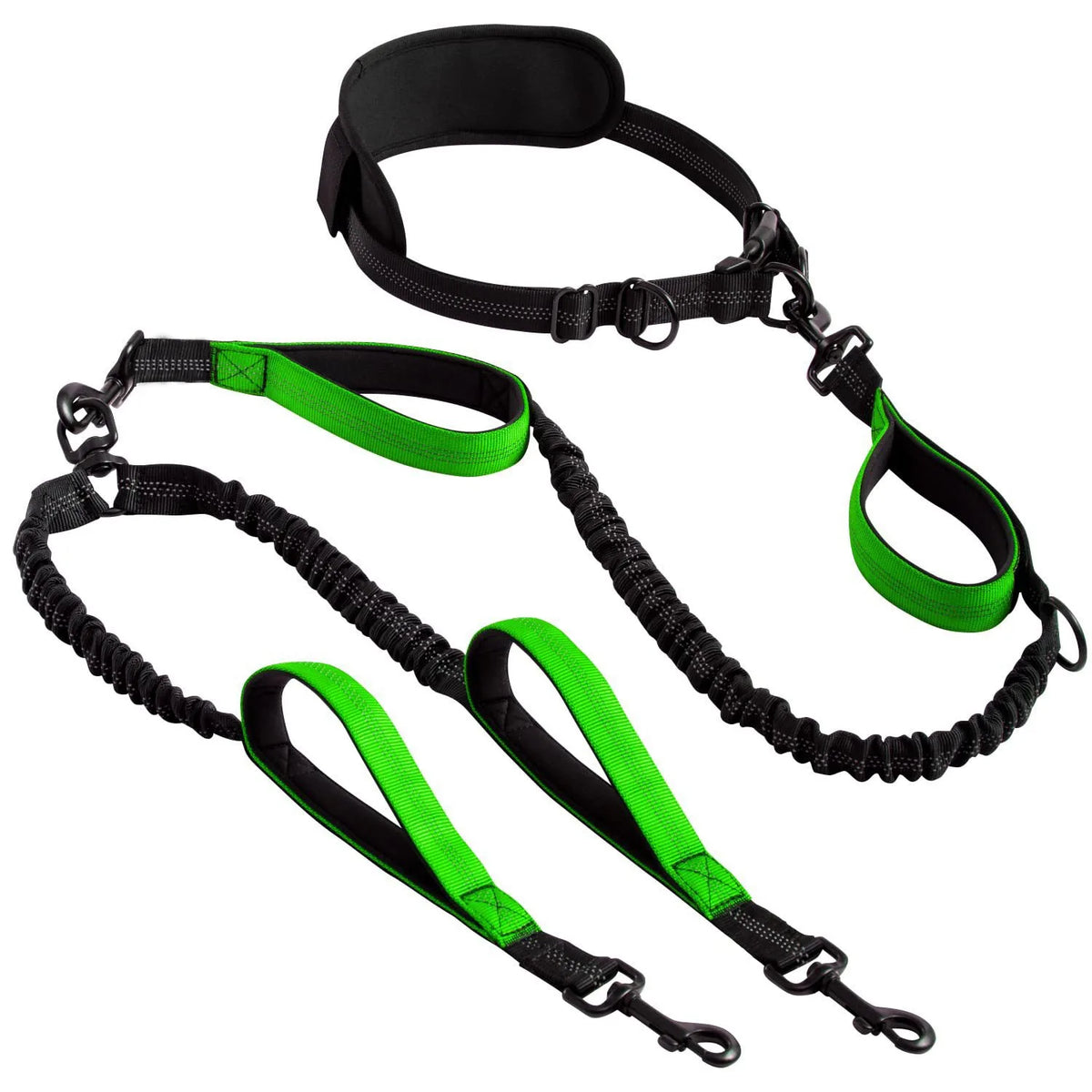 Hands-Free Double Dog Leash