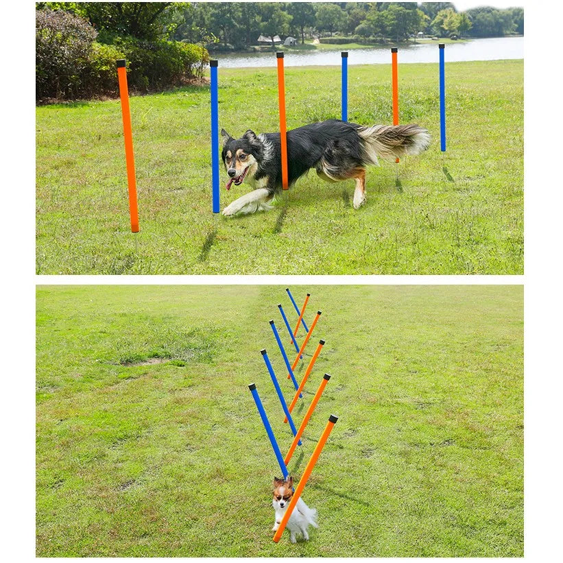 Dog Agility Training Equipment Portable Dog Jumping Tool Outdoor Dogs Running Stake Sports Stakes Pole Pet Agility Equipment Set