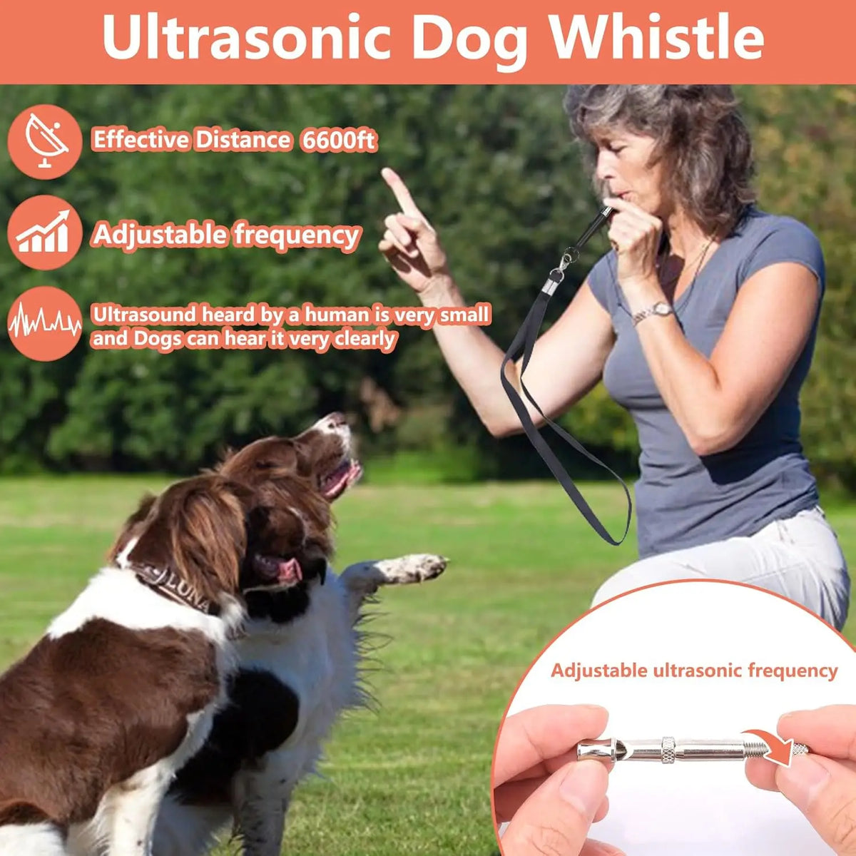 Complete Dog Training Kit