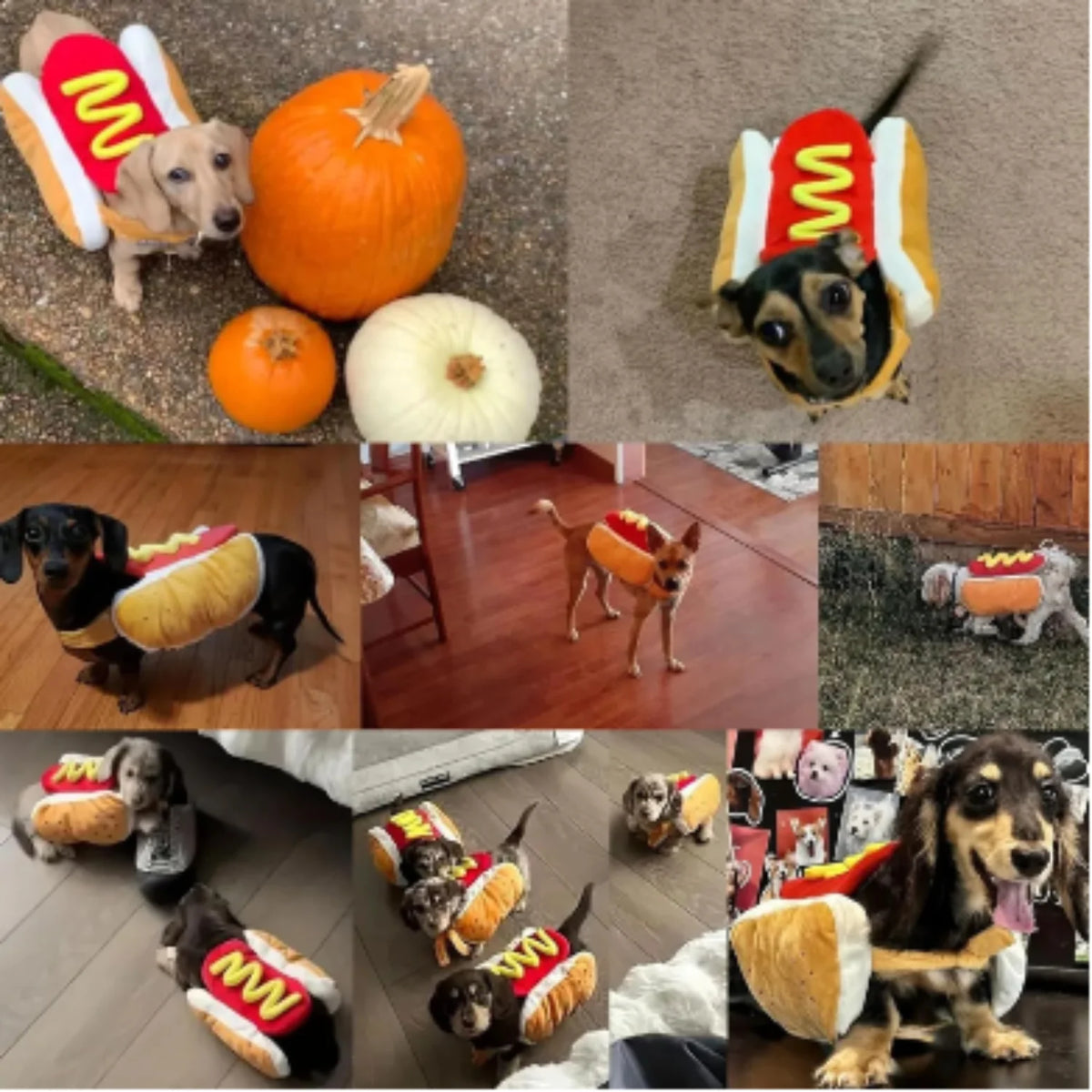 Funny Halloween Dog Costumes Hot Dog Shaped Dachshund Sausage Adjustable Clothes Pet Apparel Dressing Up Cat Party Costume Suit