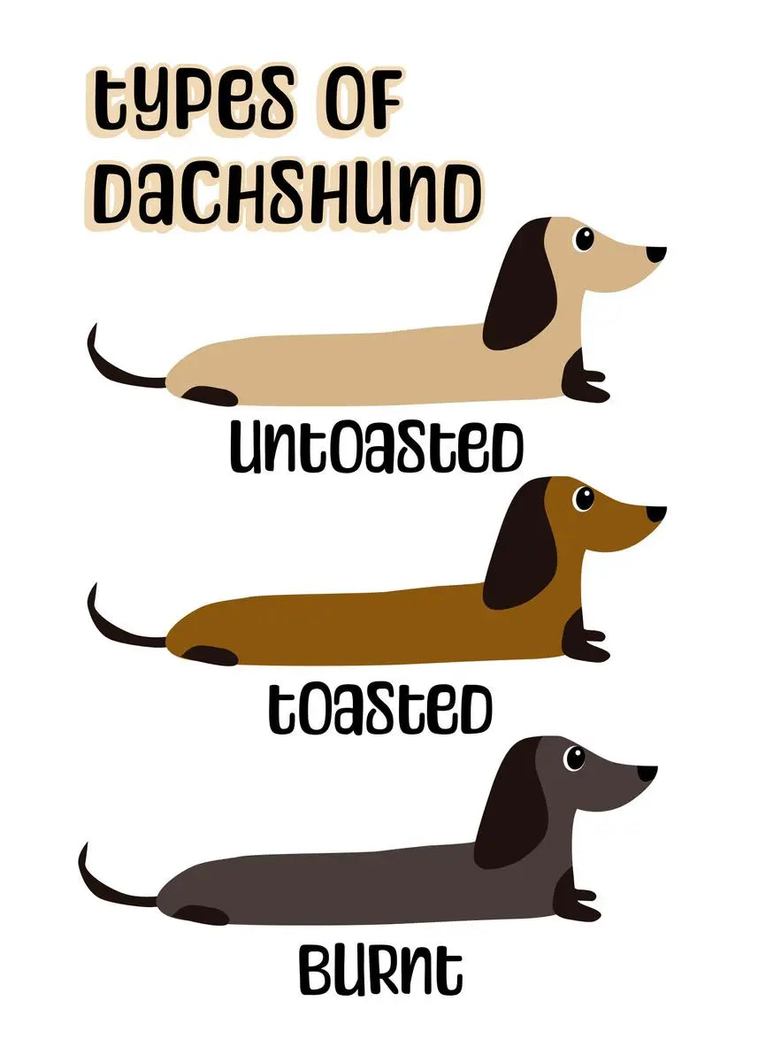 Cartoon Dachshund Dog Poster Wall Art