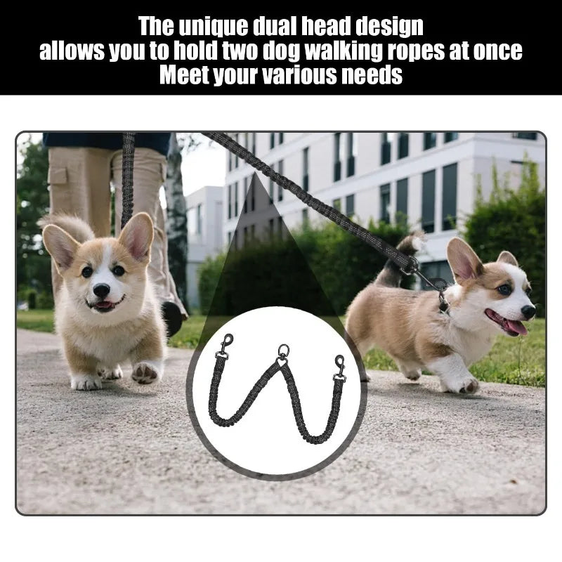 Shock-Absorbing Double-Headed Dog Leash