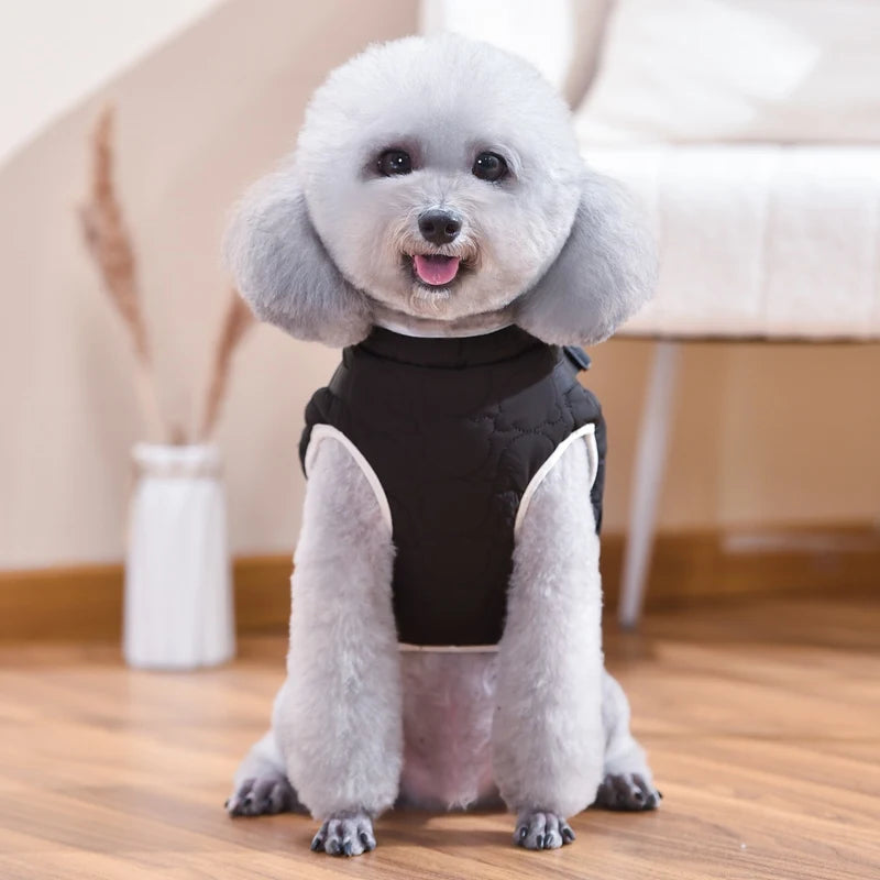 Harness Vest Dachshund Sausage Dog Costume For Small Medium Puppy Animal Outdoor Walking Clothing For Pets XS 4XL Winter Outfit