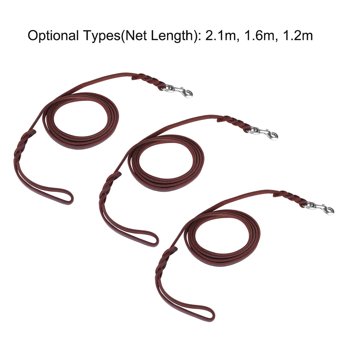 Premium Leather Dog Training Leash