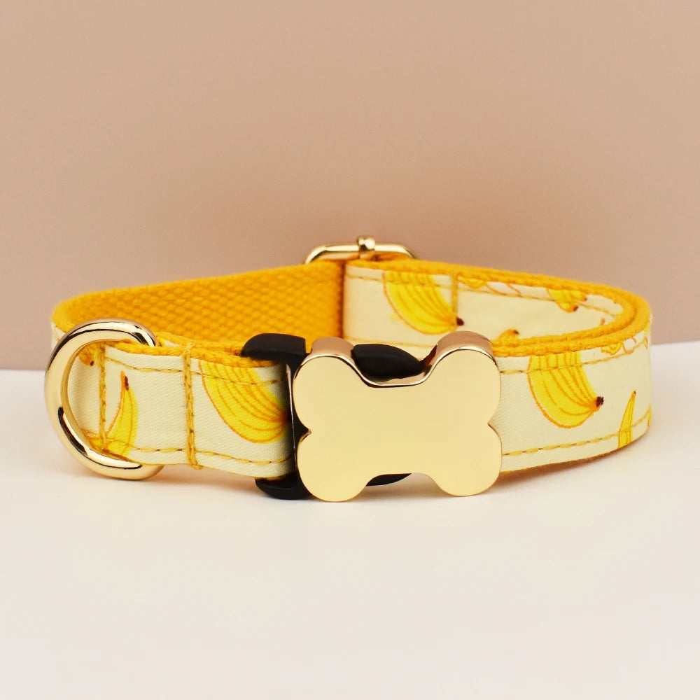 Custom Engraved Nameplate Dog Collar