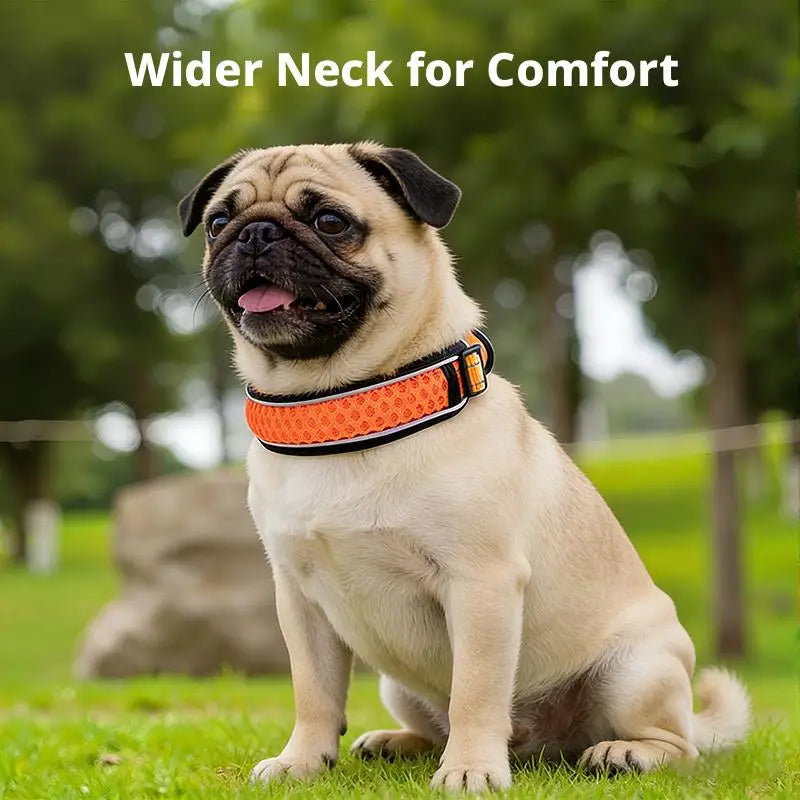 Wide neck support Soft Dog Collar