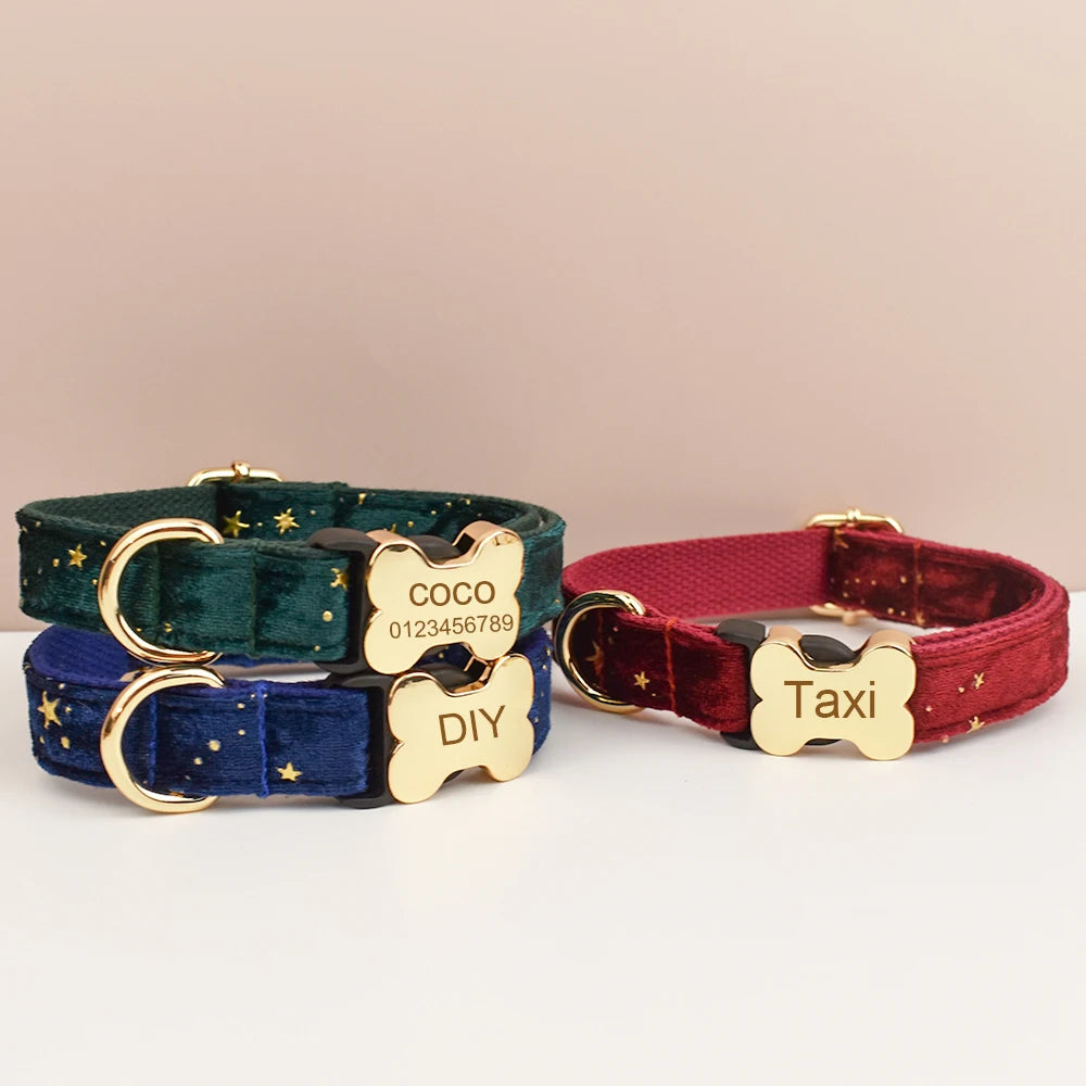 Custom Engraved Nameplate Dog Collar