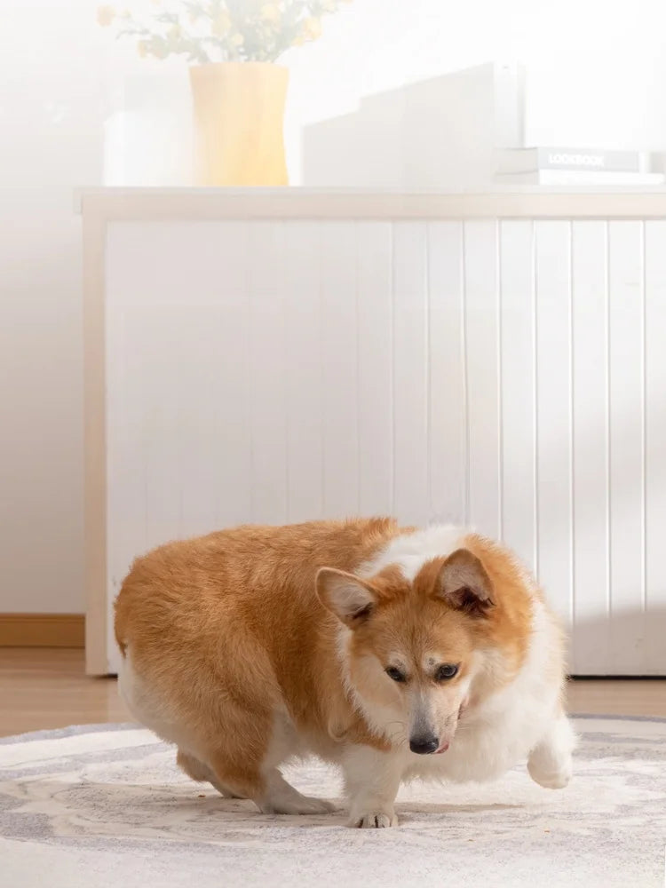 Indoor Wooden Dog House Villa