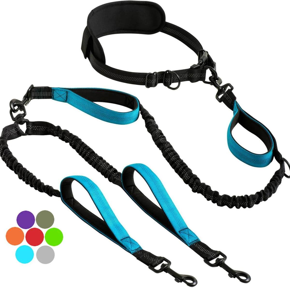 Hands-Free Double Dog Leash