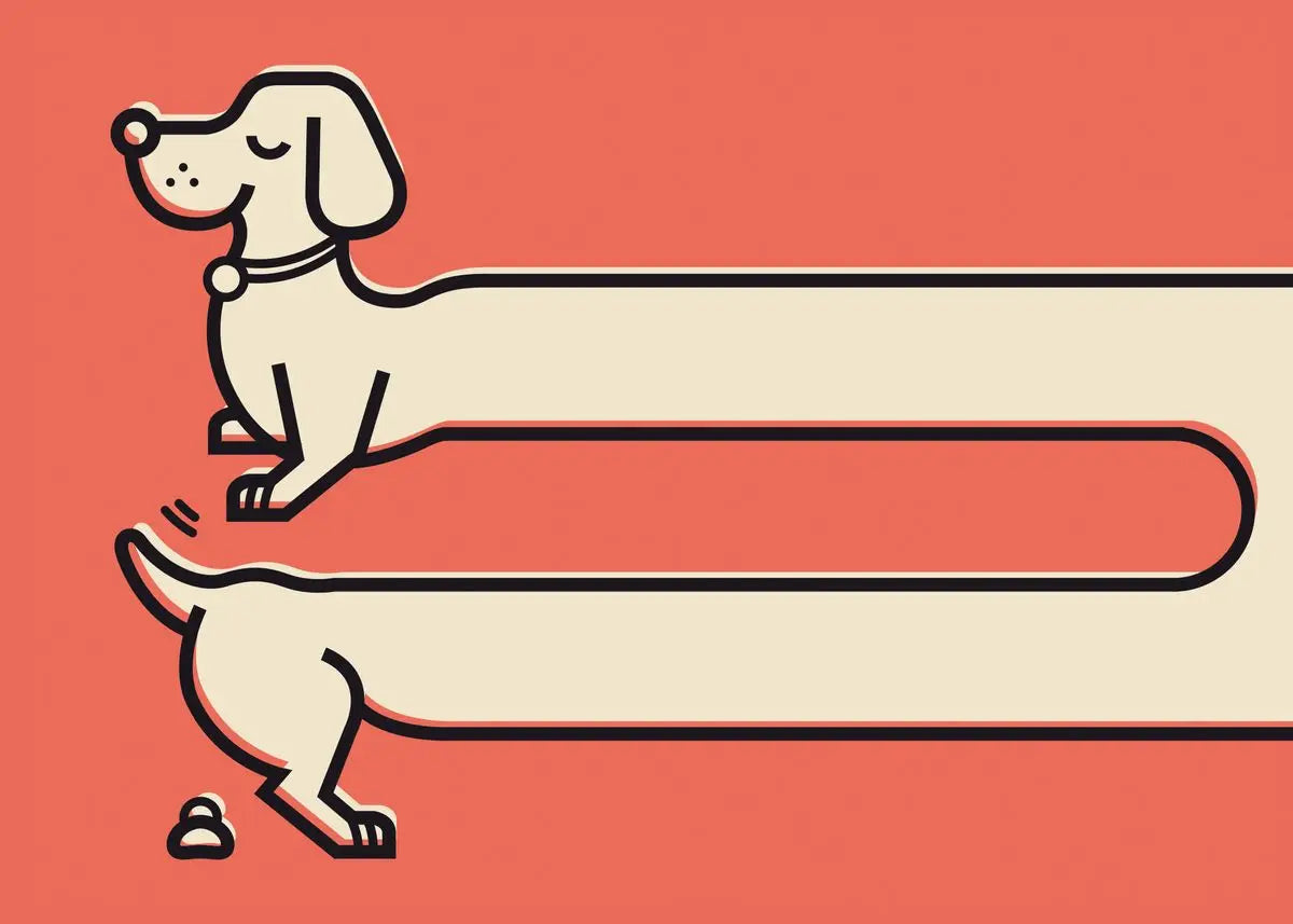 Cartoon Dachshund Dog Poster Wall Art