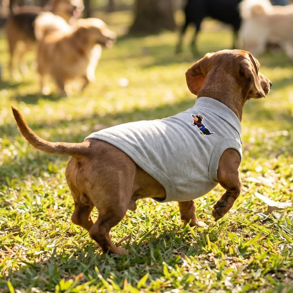 Cartoon Dachshund Embroidered Pet Polo Shirt Soft Breathable Sleeveless Dog Clothing Daily Home Outdoor Walking Outfit