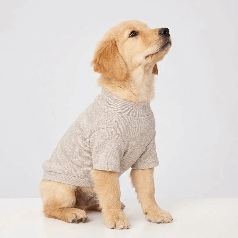 Soft Keep Warm Winter Dogs Sweater Solid Color Dachshund Dogs Puppy Clothes Comfortable Texture Dogs Undershirt Cat