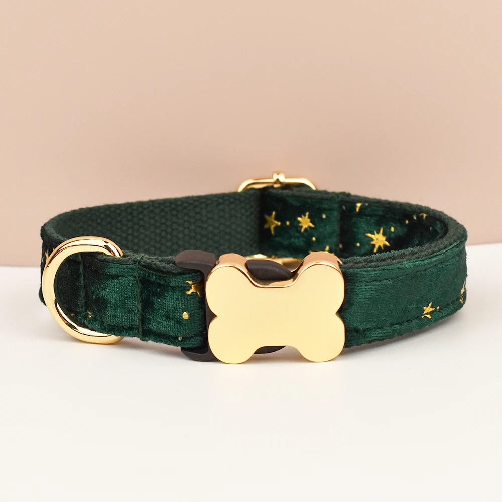 Custom Engraved Nameplate Dog Collar