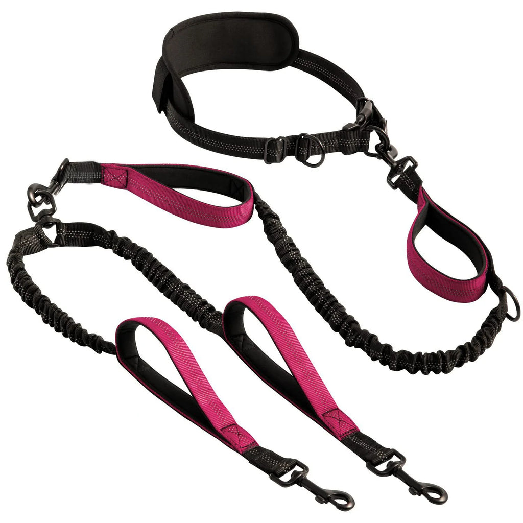 Hands-Free Double Dog Leash
