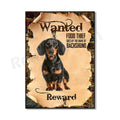 Dachshund sign A woman can't survive on alcohol alone, Wanted for food theft poster